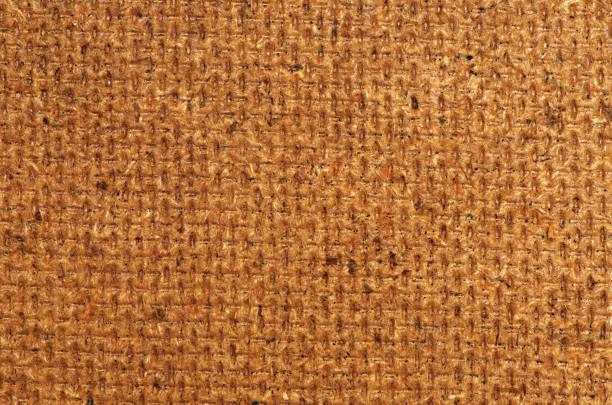 istock Texture of  wood 935262456