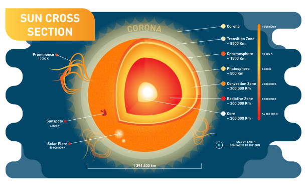 illustrazioni stock, clip art, cartoni animati e icone di tendenza di diagramma di illustrazione vettoriale scientifica della sezione solare con strati interni del sole, macchie solari, brillamento solare e rilievo. - prominence