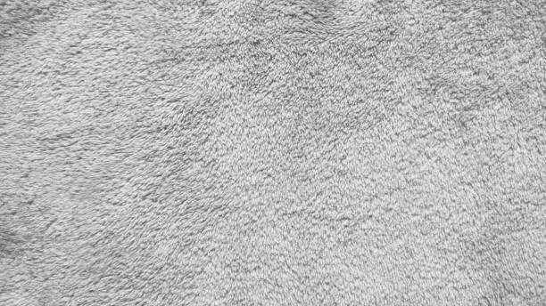 istock Texture of gray carpet background. 935274770