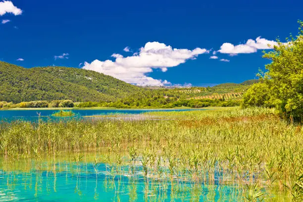 Idyllic Krka river national park view, Dalmatia region of Croatia
