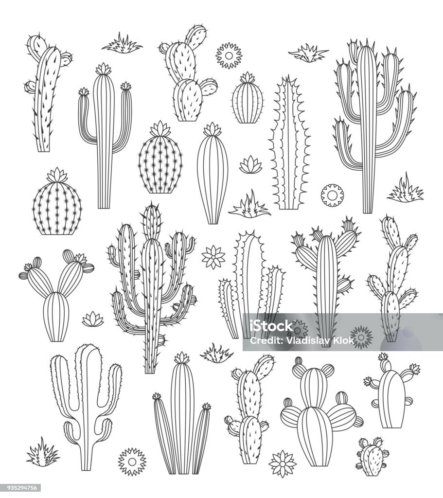 Vector cactus icons Vector cactus, flowers and grass monoline icons. Different types of cactus plants. Cactus stock vector