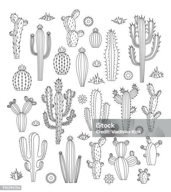 Vector Cactus Icons Stock Illustration - Download Image Now - Cactus, Line Art, Icon Symbol
