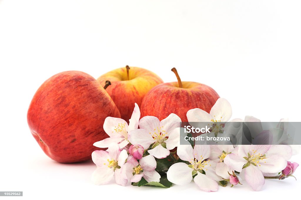 Manzanas y apple-tree cerezos en flor - Foto de stock de Foto de estudio libre de derechos