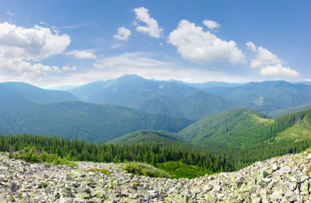 Mountain ranges covered with spruce forests and stone placer on the foreground in Carpathian Mountains at summer day