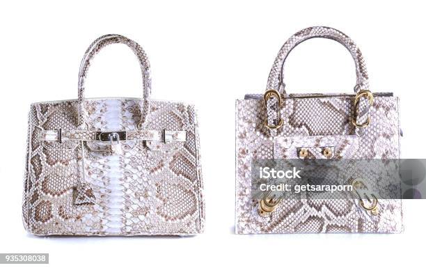 Fashion Bags Animals Skins On Background Stock Photo - Download Image Now -  Abstract, Animal, Animal Body Part - iStock