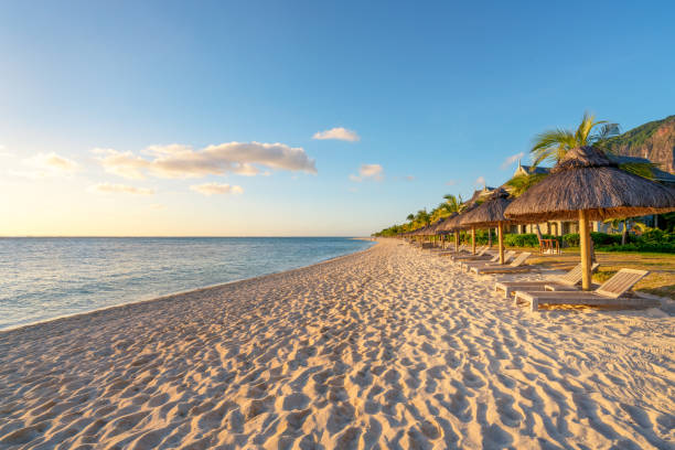 istock beach with wooden parasol 935308110