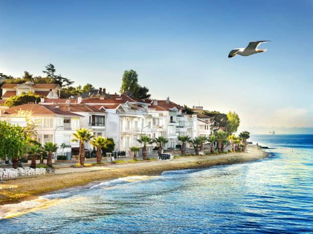 istock Beach and lagoon on the Islands 935308826