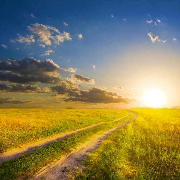 istock ground road among a prairies at the sunset 935311180