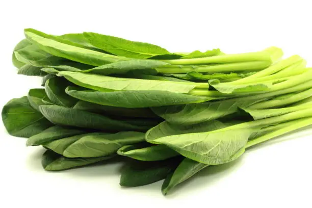 Vegetables of japan , Komatsuna,Japanese Mustard Spinach