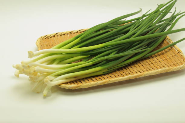 istock fresh bunching onion isolated on white background 935316972
