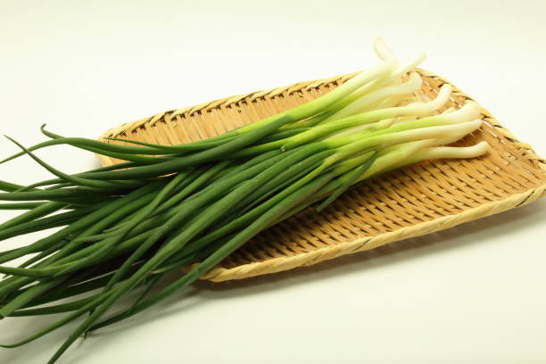 istock fresh bunching onion isolated on white background 935317494