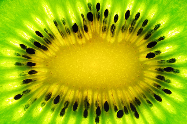istock green tasty kiwi 93531782