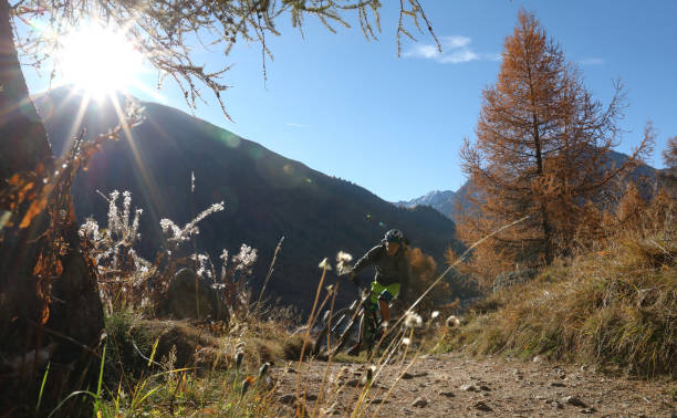 istock Low angle view of biker cornering on trail in sunlight 935319690