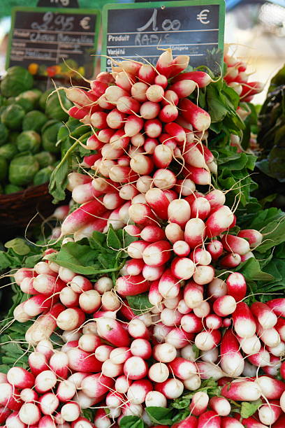 Radishes stock photo