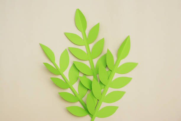 istock Leaves Paper Cut Textured Background with shadow seamless texture. Tropical, Summer Leaves. 935323928