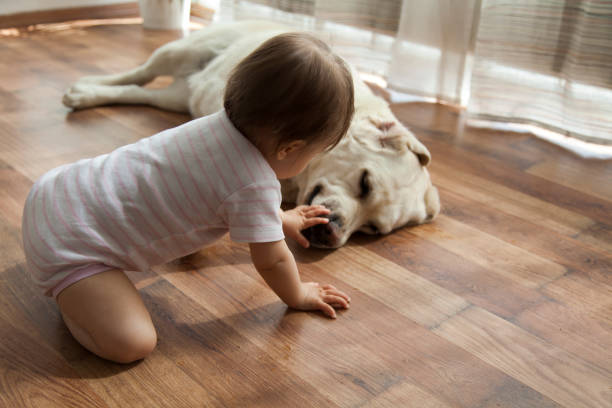 istock baby girl playing with dog 935324082