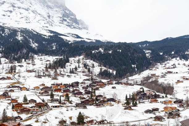 istock Grindelwald, swiss alps 935325084