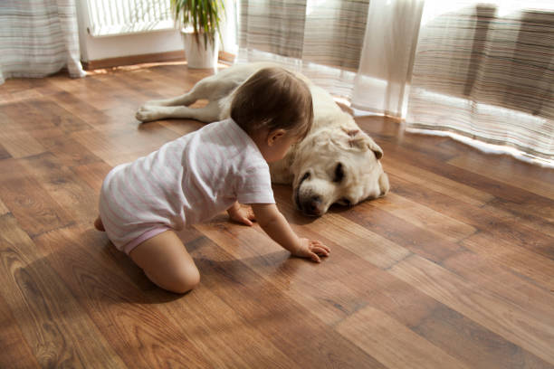istock baby girl playing with dog 935329664