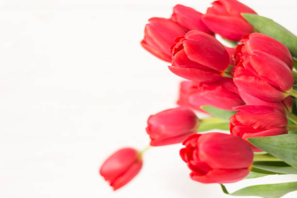 istock Large bouquet of pink tulips on white background. Selective focus. Defocused, blurred backdrop 935334242