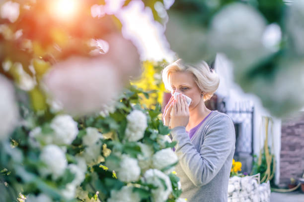 Woman sneezing in the blossoming garden Woman sneezing into a tissue hayfever stock pictures, royalty-free photos & images