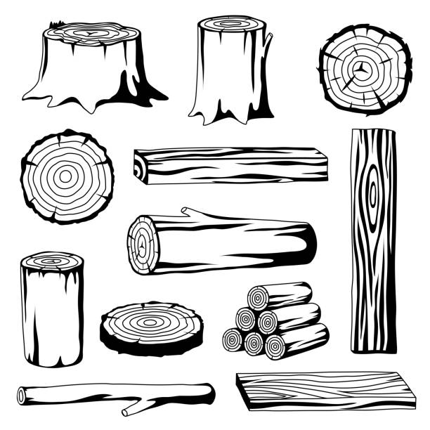 ilustraciones, imágenes clip art, dibujos animados e iconos de stock de conjunto de registros de madera para la silvicultura y la industria de la madera. ilustración de troncos, tocón y tablones - lumber industry lumberyard stack wood