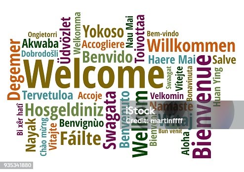 istock Welcome in different languages wordcloud on white background 935341880