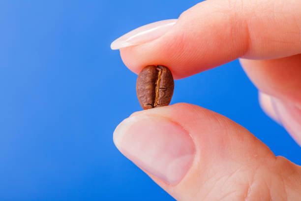 istock Close view of coffee bean held between fingers 935342078