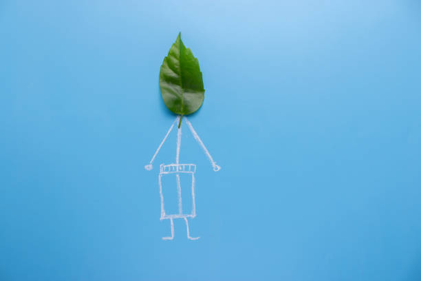 koncepcja eko-zielony - green environmental conservation leaf dementia zdjęcia i obrazy z banku zdjęć