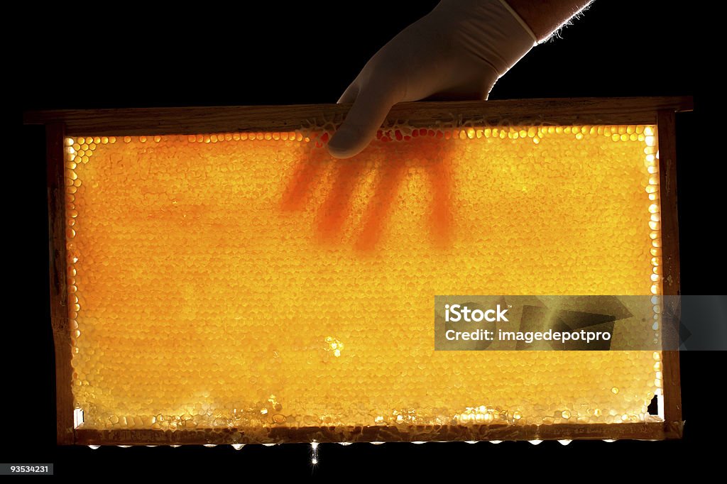 full-frame-honeycomb - Lizenzfrei Honig Stock-Foto