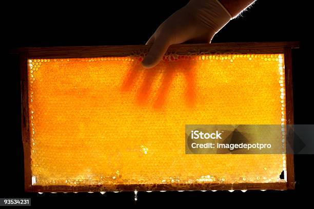 Fullframehoneycomb Stockfoto und mehr Bilder von Honig - Honig, Teilen, Agrarbetrieb