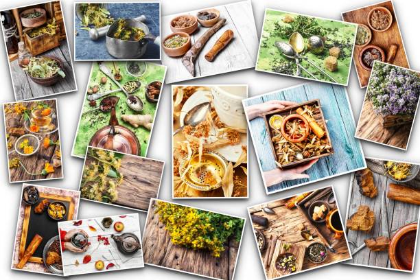 istock Set of various medical plants and herbs 935342754