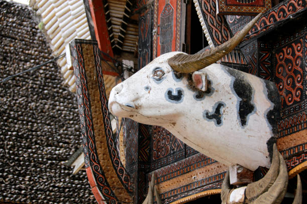 istock Buffalo Head on a Tongkonan 935346936