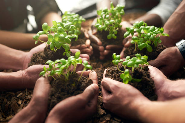istock Teamwork, the foundation of business growth 935350228