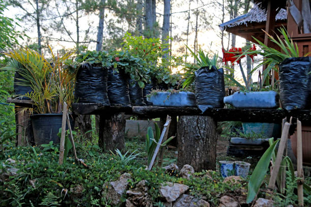 istock Gardening Sulawesi Style 935350838