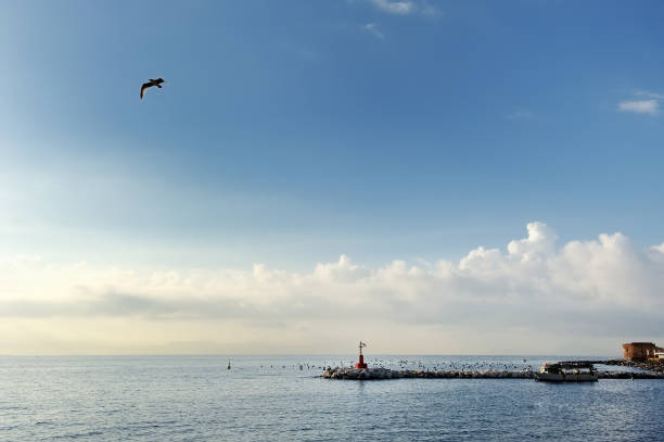 istock Lighthouse in the sea, Naples, Italy 935352908