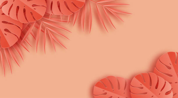 istock Tropical paper palm, monstera leaves frame. Summer tropical leaf. Origami exotic hawaiian jungle, summertime background. Paper cut. Minimal. Pastel art colorful style. 935355116