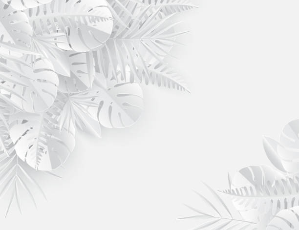 istock Tropical paper palm, monstera leaves frame. Summer tropical leaf. Origami exotic hawaiian jungle, summertime background. Paper cut style. White color 935355380