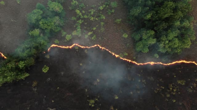 aerial view and dolly shot of forest fire.