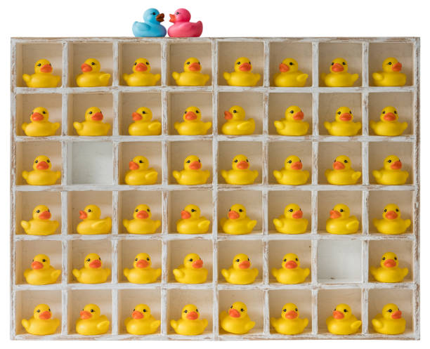 istock Many yellow rubber ducks in wooden pigeon hole compartments with two empty compartments and a pink and blue rubber duck on the top, outside the box.. 935360394