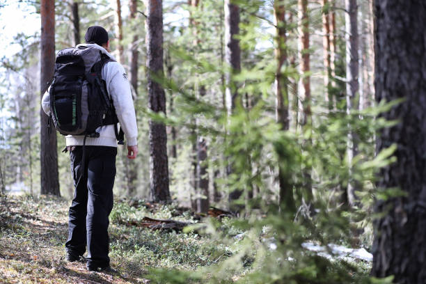 istock A man is a tourist in a pine forest with a backpack. A hiking tr 935368062