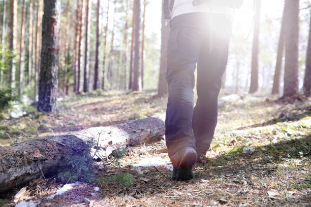 istock A man is a tourist in a pine forest with a backpack. A hiking tr 935373404