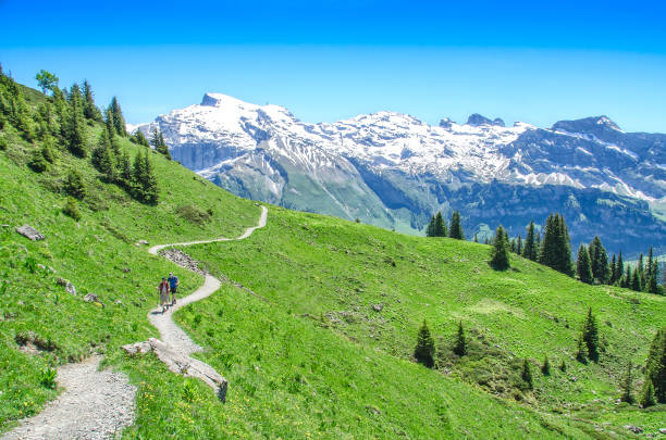 alpes suizos en la temporada de verano. trekking en la montaña - european alps swiss culture switzerland mountain fotografías e imágenes de stock