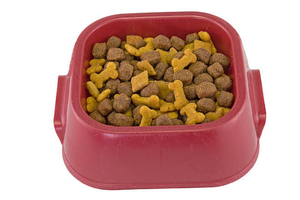 istock dogfood bowl on white 93538411
