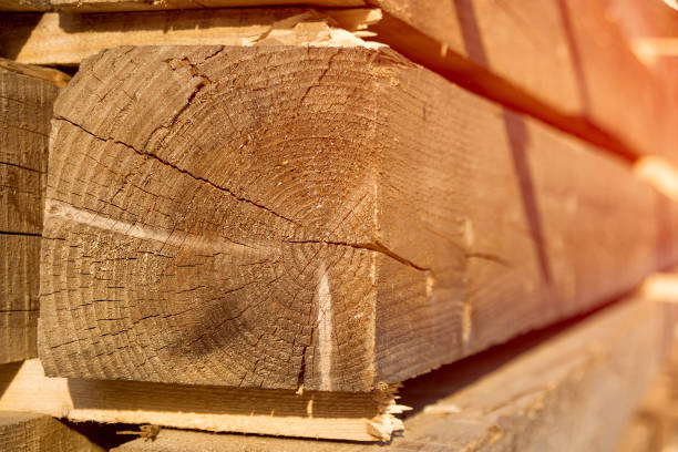 istock background texture of tree bark close-up. Copy space for text. The concept of using the wood relief in the decor 935389178