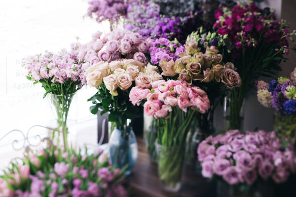 fresh blossoming flowers at at the florist shop (roses, ranunculus, tulips, carnations, mattiola,) - flower head bouquet built structure carnation imagens e fotografias de stock