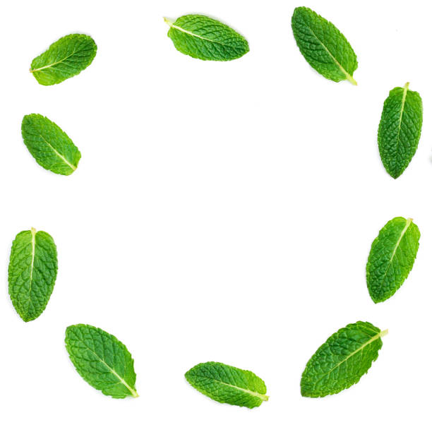 istock Fresh mint leaves  set  isolated on white background in circle shape frame , close up