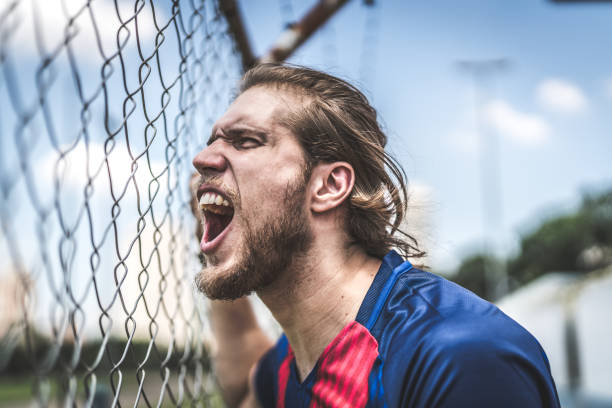 istock Fan watching a soccer game 935402026