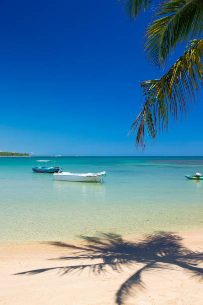 istock beach and tropical sea 935403224