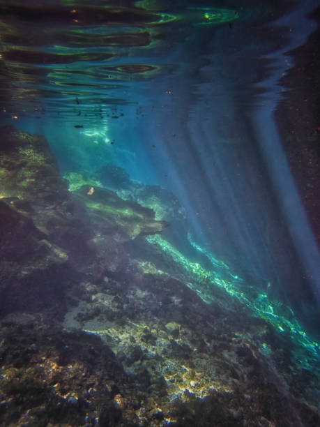 istock Snorkeling in a cenote. 935404836