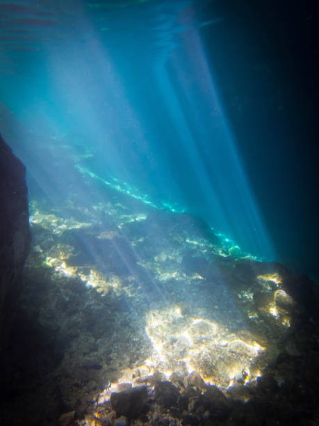 istock Snorkeling in a cenote. 935404964